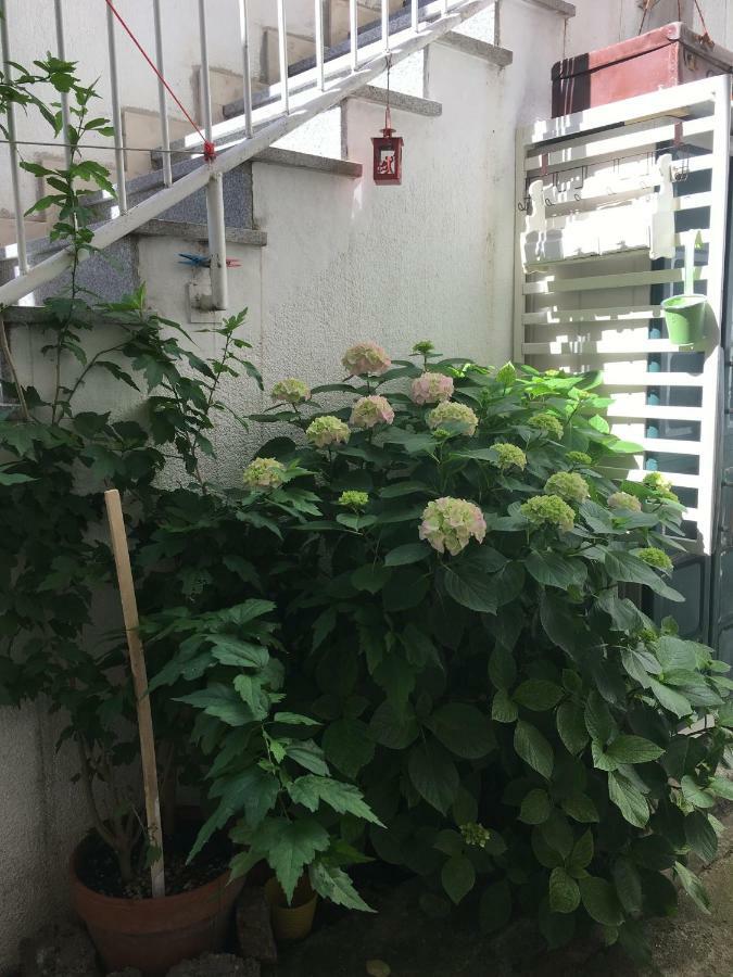 Apartament Milla *